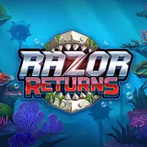Razor Returns demo